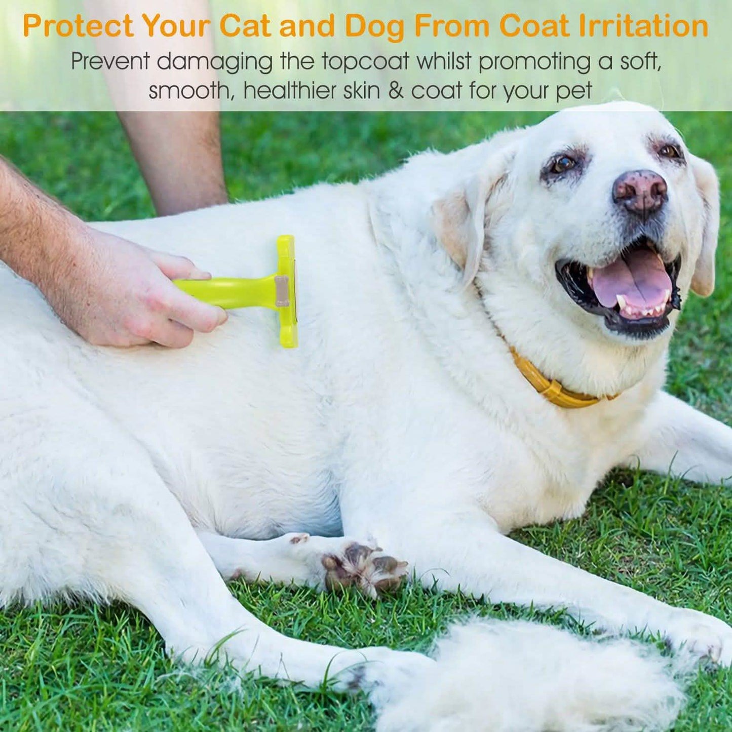 Dog Grooming Brush Comb Pet Hair Remover DailySale