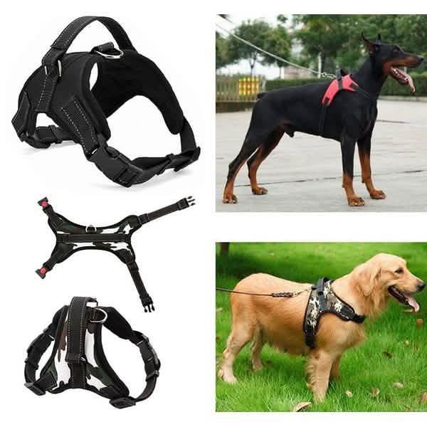 Dog Soft Adjustable Harness DailySale