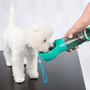 Dog Water Bottle Portable Leak Proof for Hiking Climbing Travel DailySale