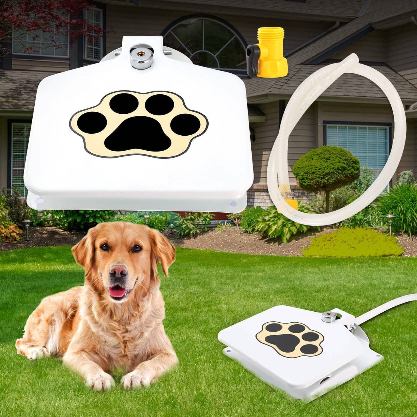 Dog Water Fountain DailySale