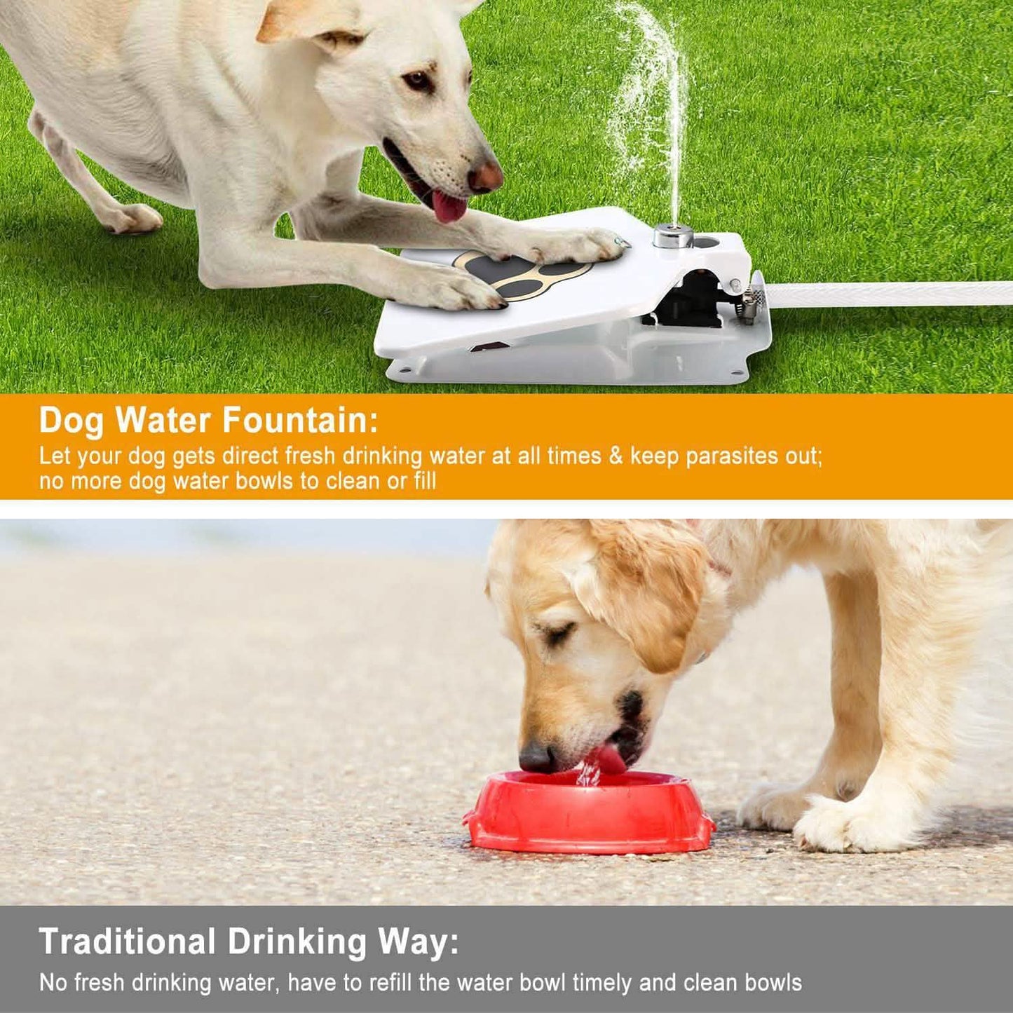 Dog Water Fountain DailySale
