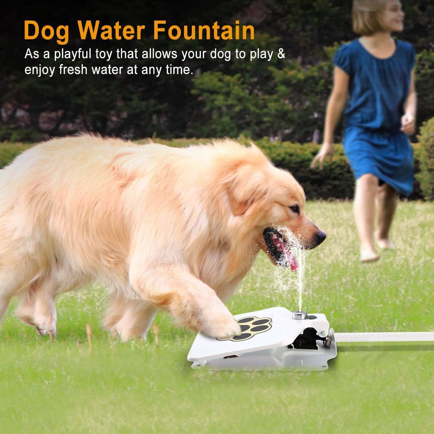 Dog Water Fountain DailySale