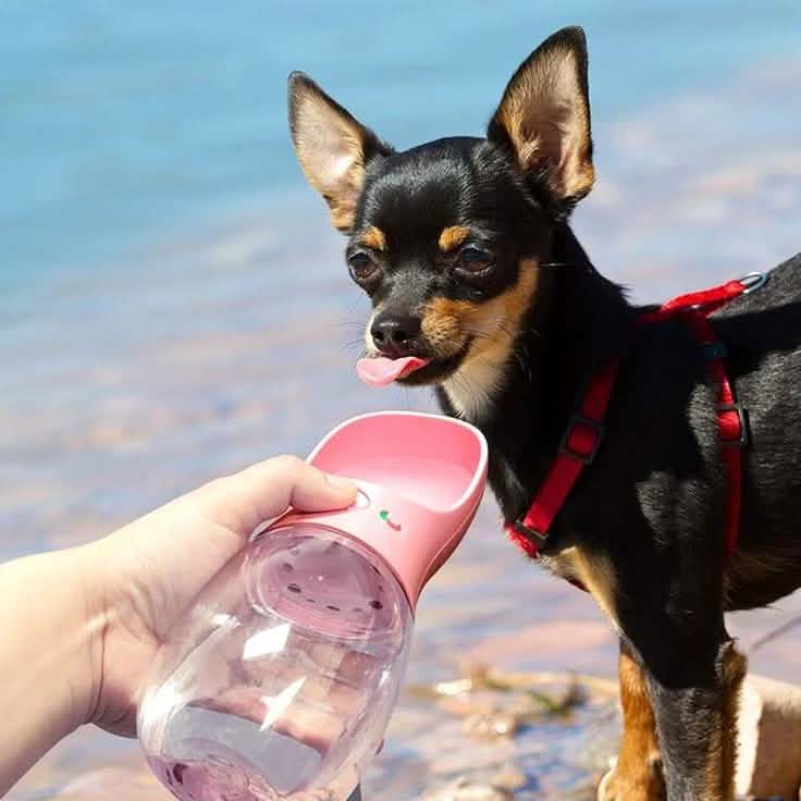 Doggy Bottle DailySale