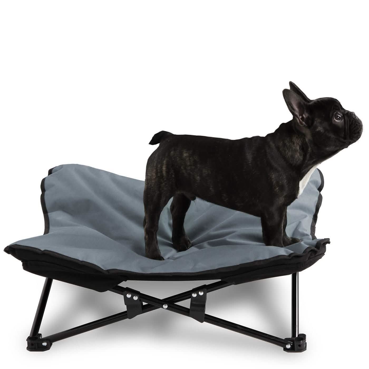 Elevated Camping Pet Bed Medium DailySale