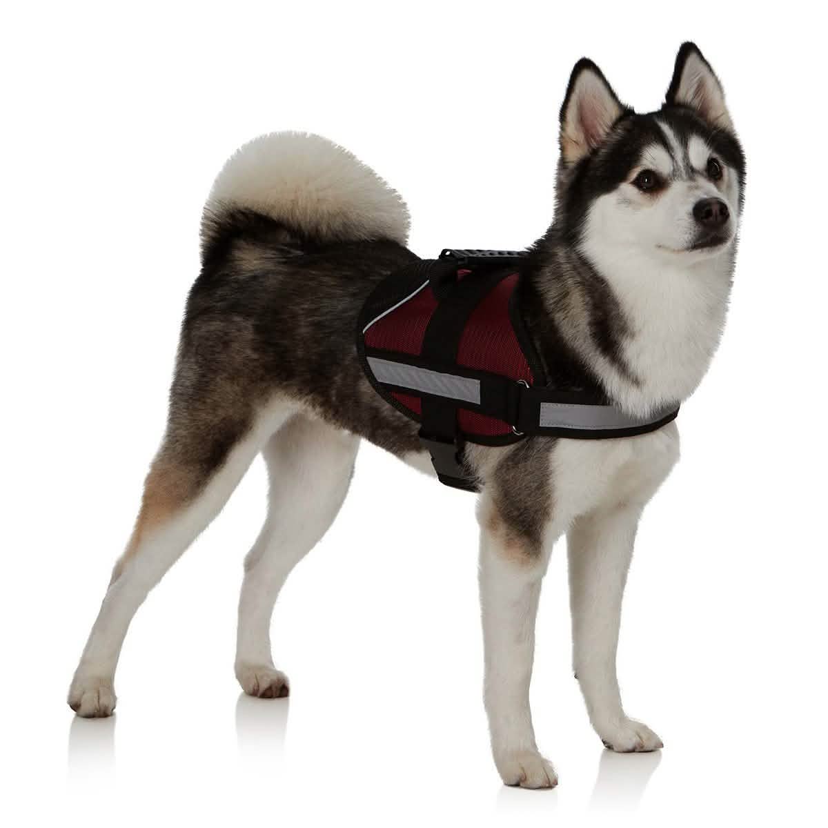 Ez-Pet Vest Collar Soft Adjustable Harness DailySale