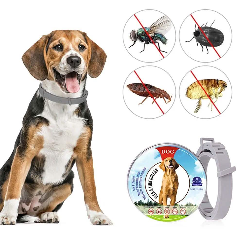 Flea Collar Dogs 8-month Flea and Tick Prevention for Dogs 3 Months of Age and Older DailySale