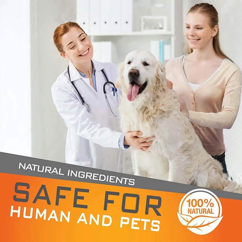 Flea Collar Dogs 8-month Flea and Tick Prevention for Dogs 3 Months of Age and Older DailySale