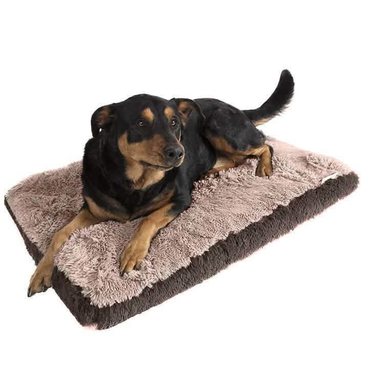 Fuzzy Pet Bed DailySale