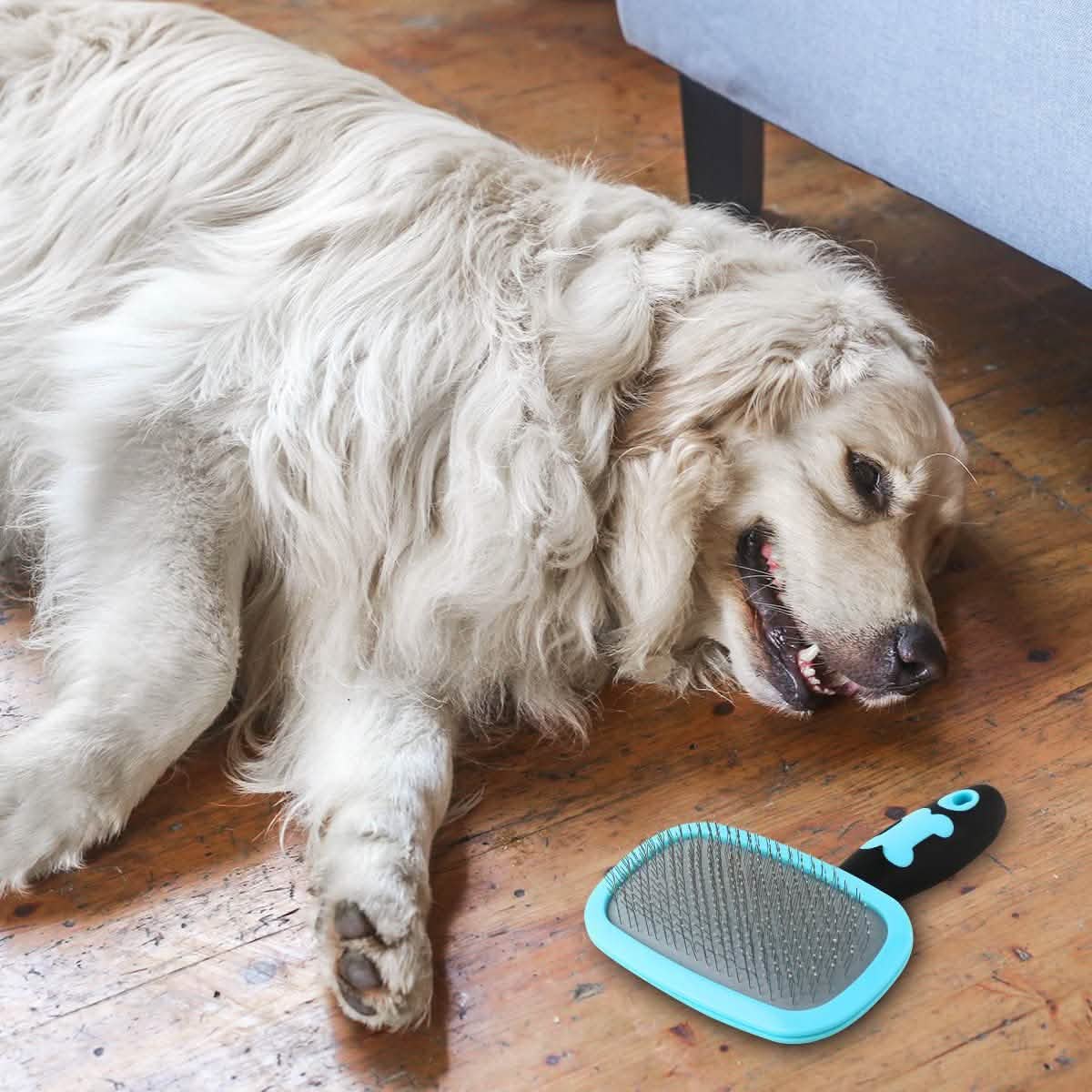 Glendan Dog Brush & Cat Brush - Slicker Pet Grooming Brush DailySale