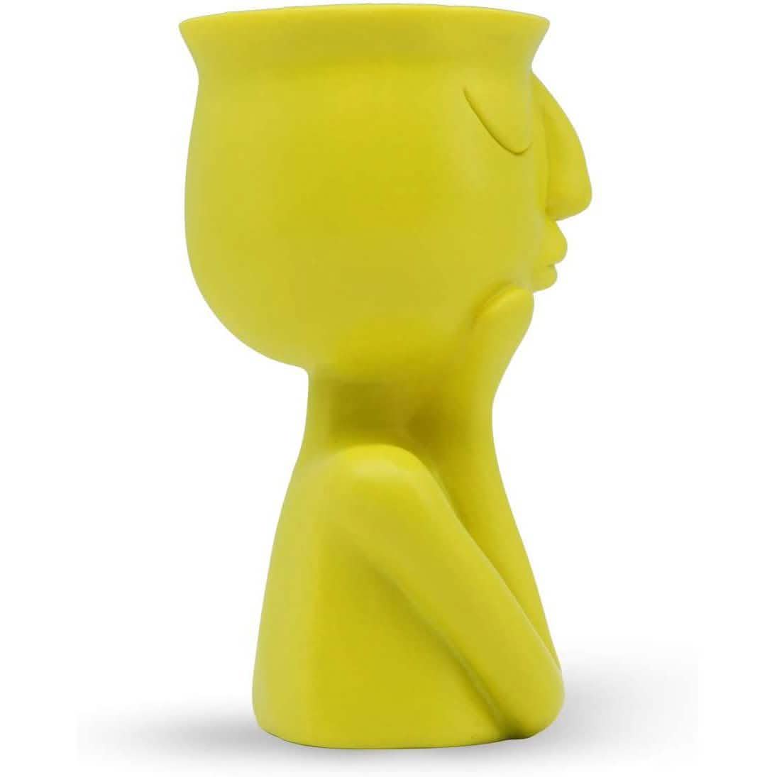 Greneric Character Portrait Flower Pot Resin Succulents Plant Pot DailySale