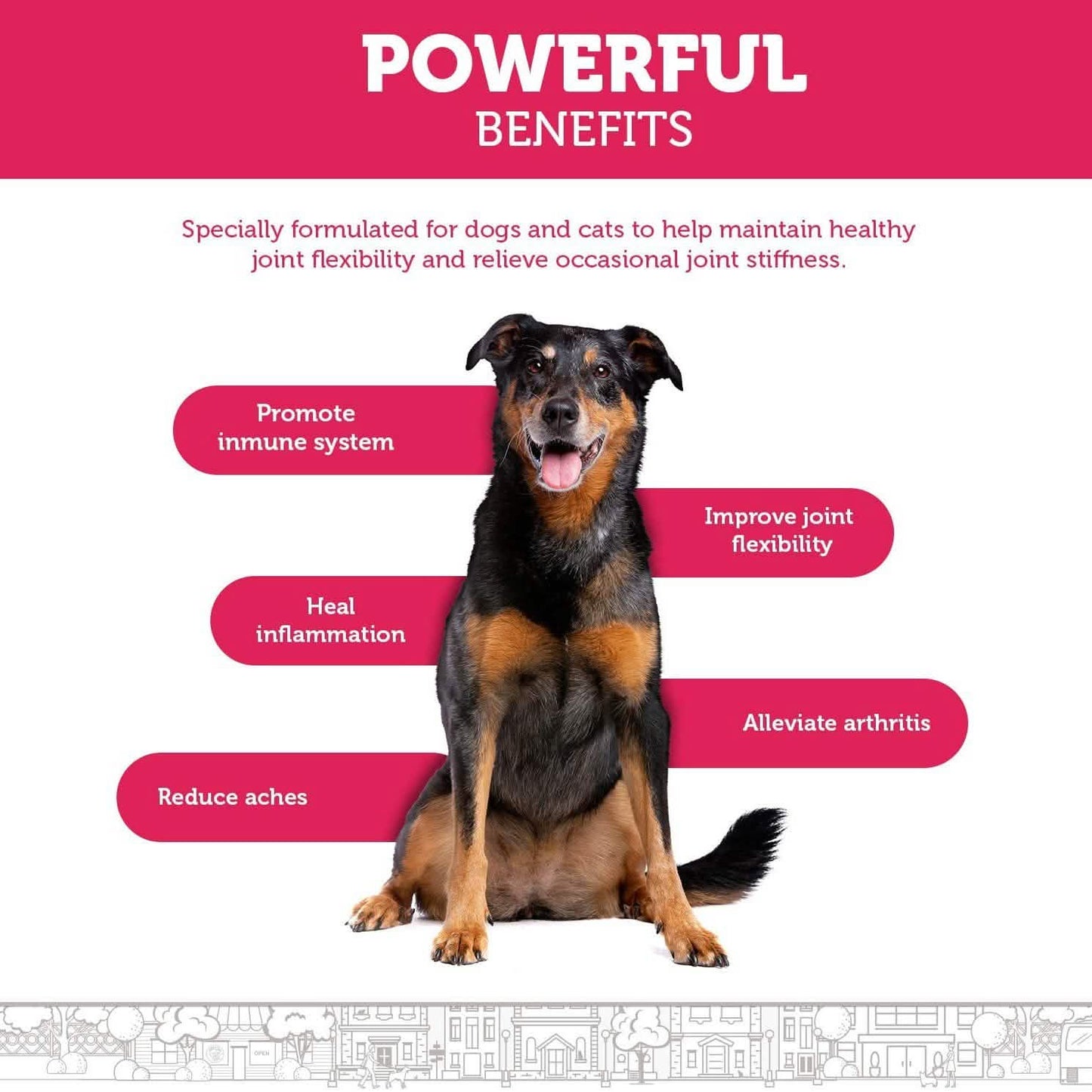 Hip and Joint Advanced Level 2 Formula All Natural Glucosamine Supplement for Dogs and Cat DailySale