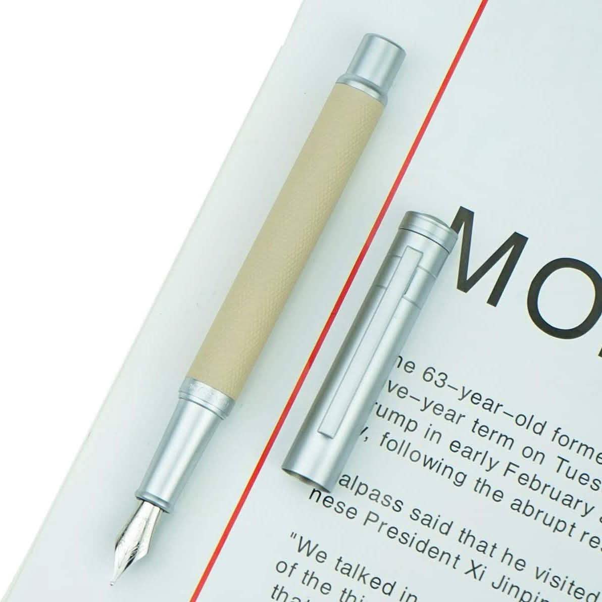 Hongdian Silver Birch Forest Fountain Pen DailySale