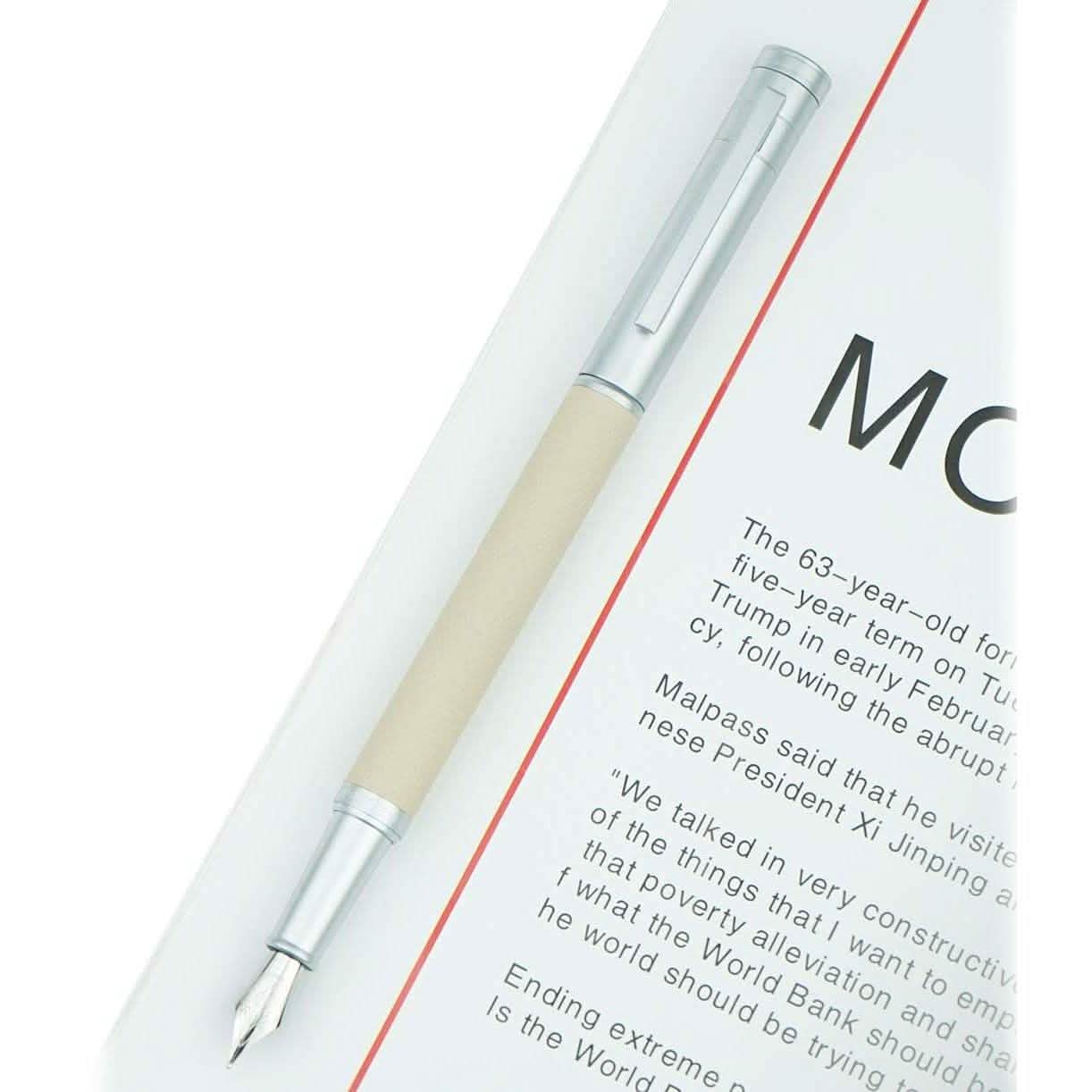 Hongdian Silver Birch Forest Fountain Pen DailySale