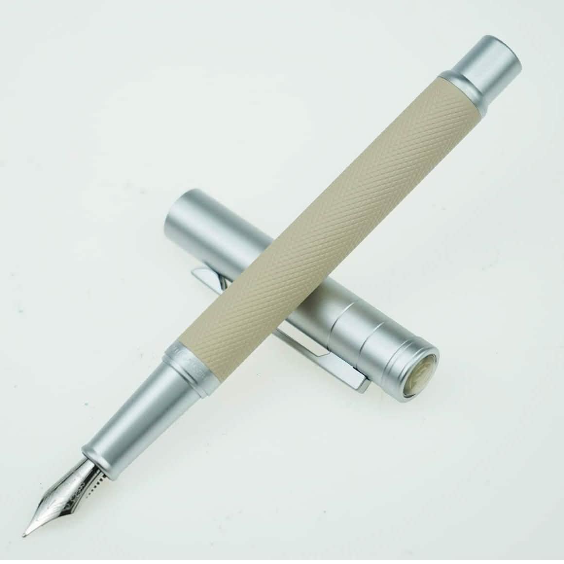 Hongdian Silver Birch Forest Fountain Pen DailySale