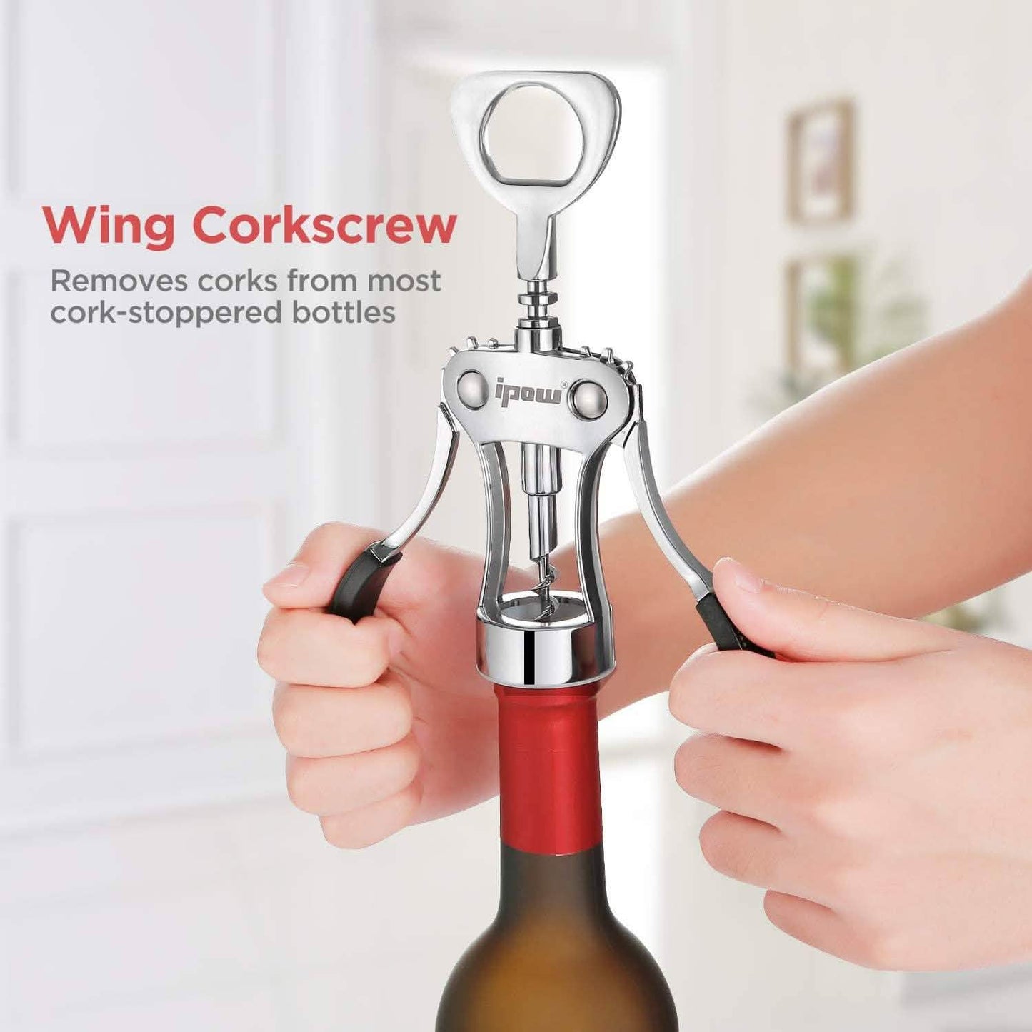 IPOW Wing Corkscrew DailySale