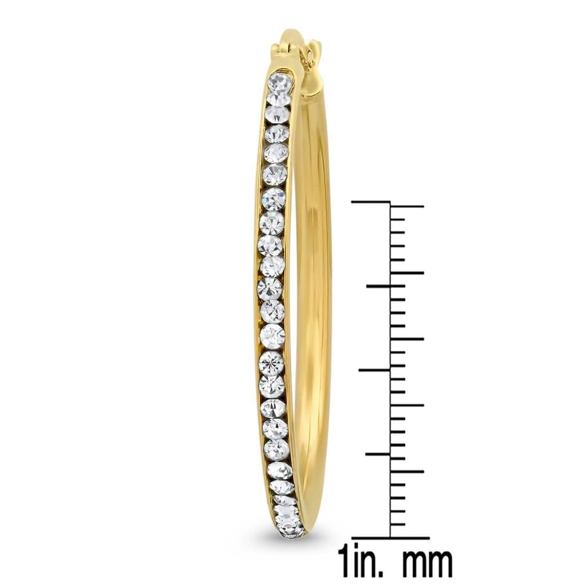 Ladies Stainless Steel And Simulated Diamonds Hoop Earrings DailySale