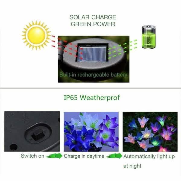 Lily Flower Multi-Color Changing LED Solar Powered Lights DailySale