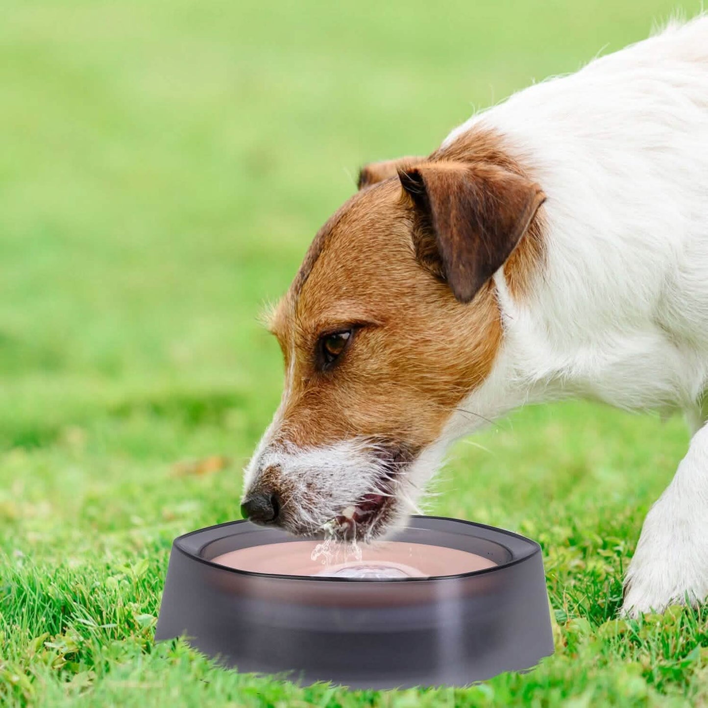 No Spill Dog Cat Water Bowl Spill Proof Slow Water Feeder DailySale