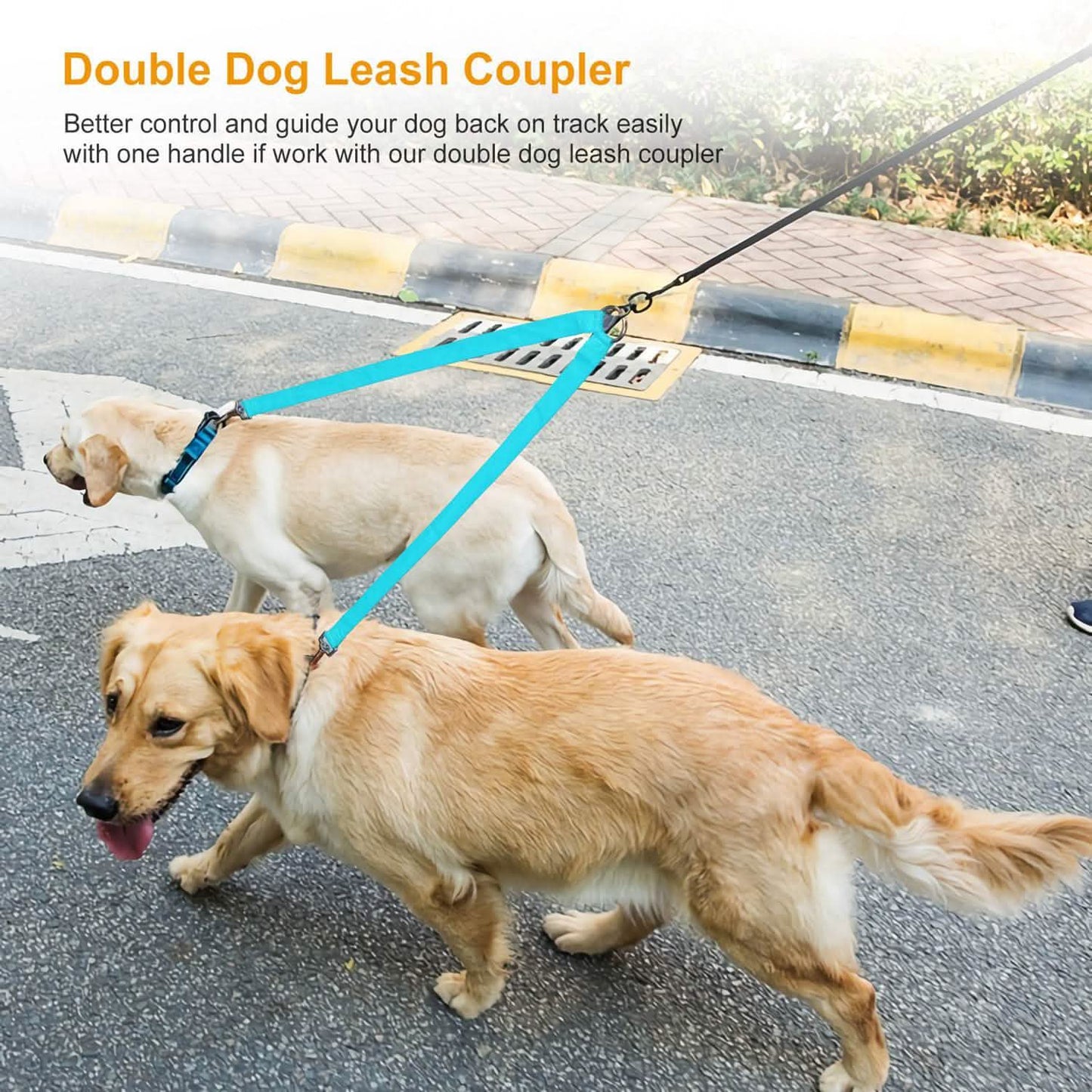 No-Tangle Dual Dogs Leash DailySale