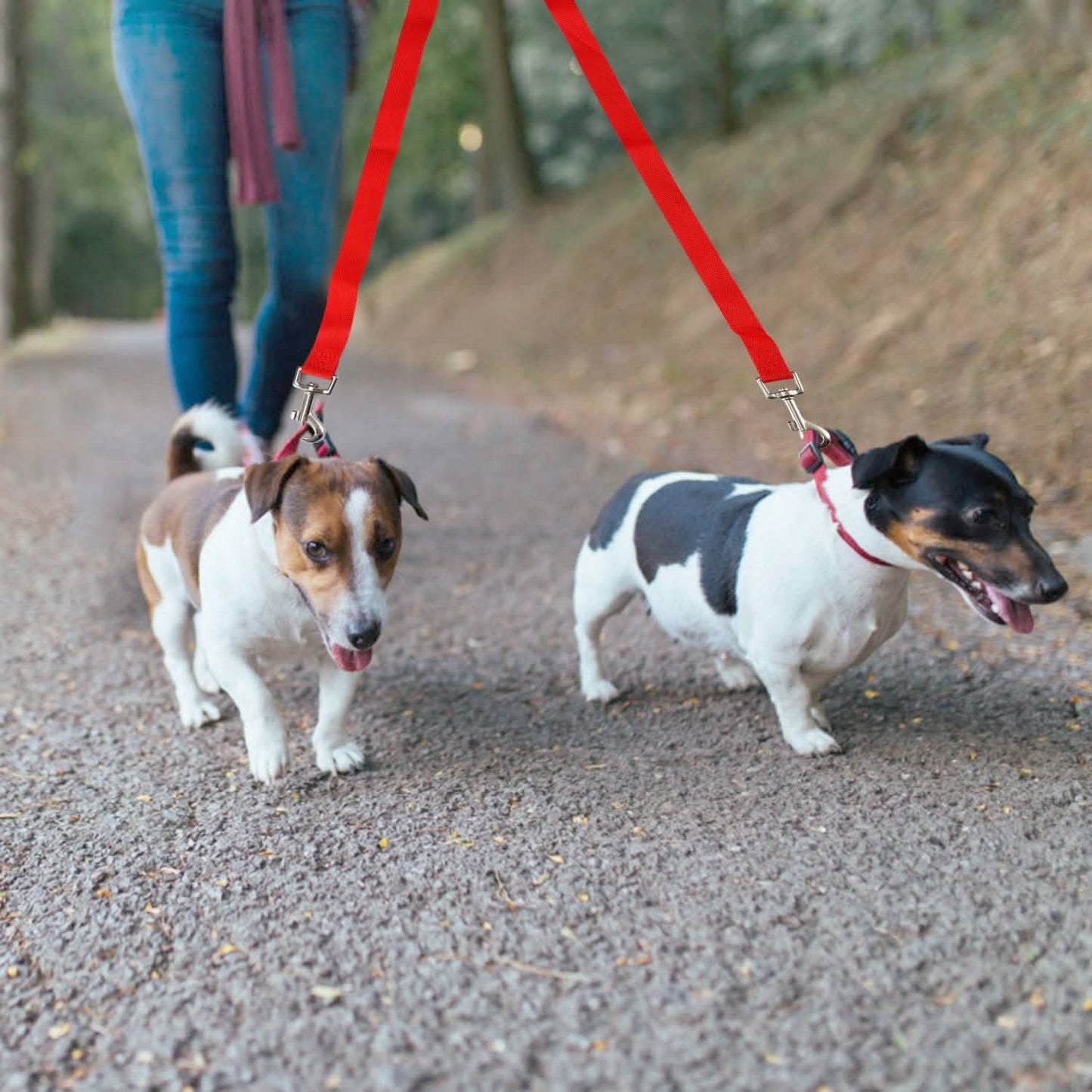 No-Tangle Dual Dogs Leash DailySale