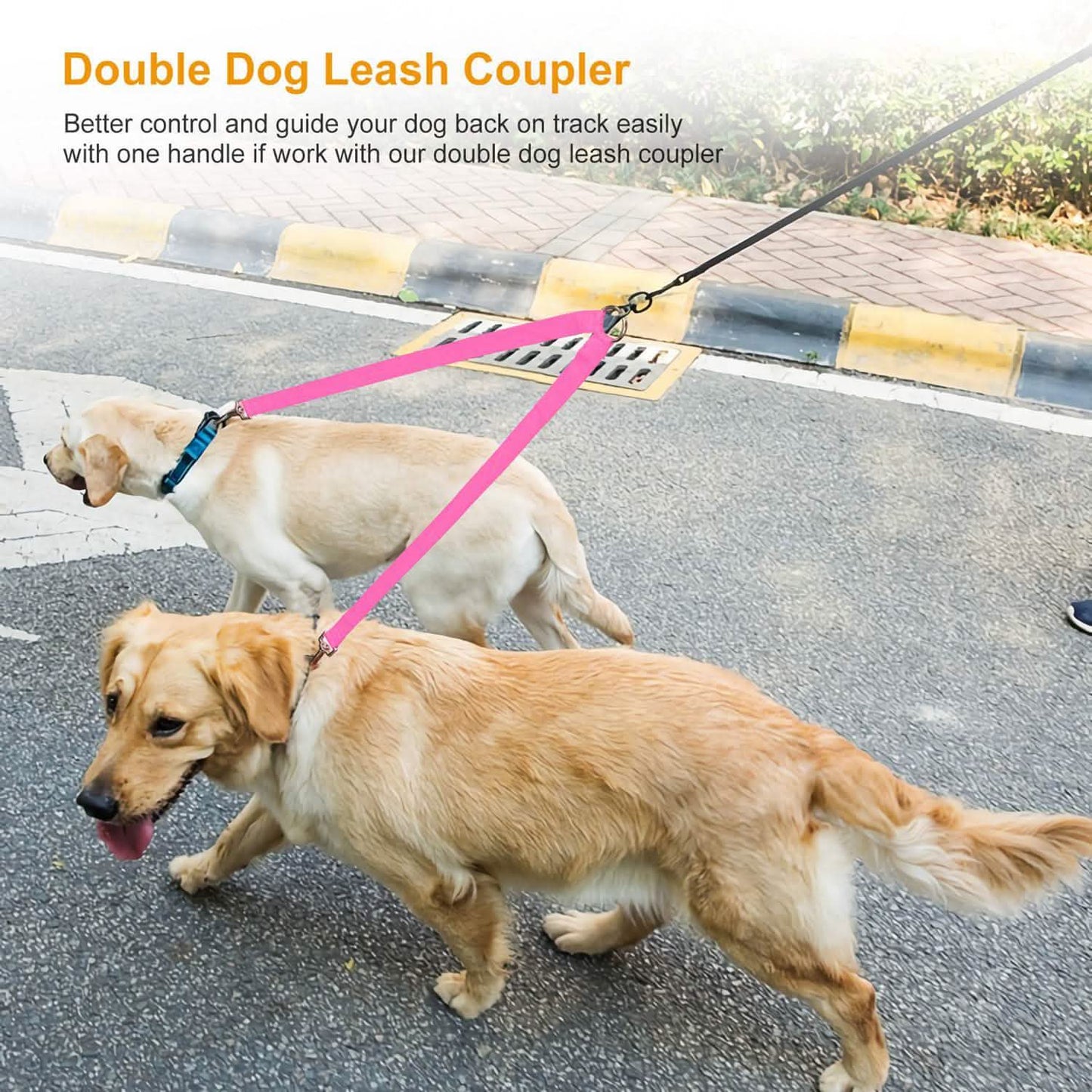 No-Tangle Dual Dogs Leash DailySale