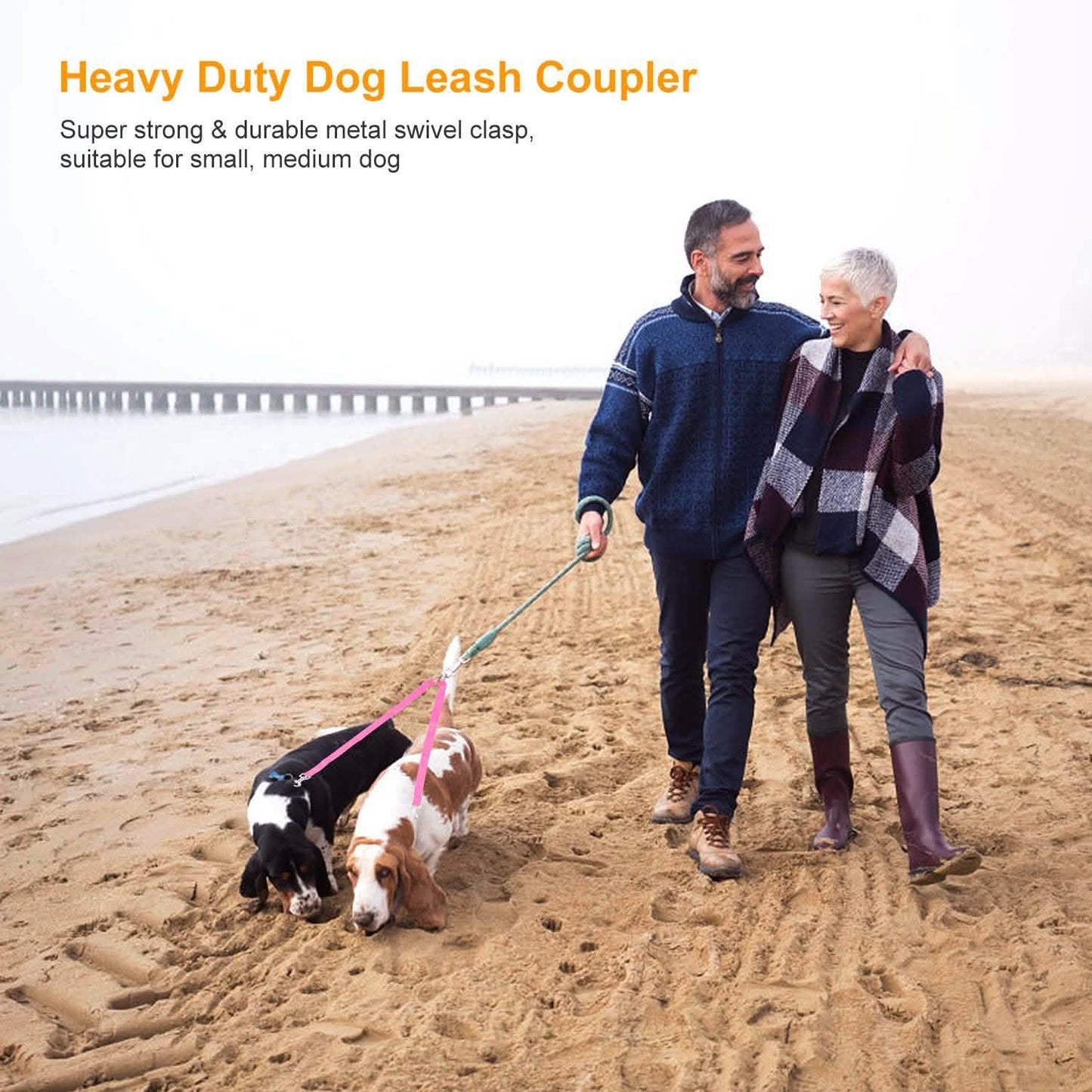 No-Tangle Dual Dogs Leash DailySale