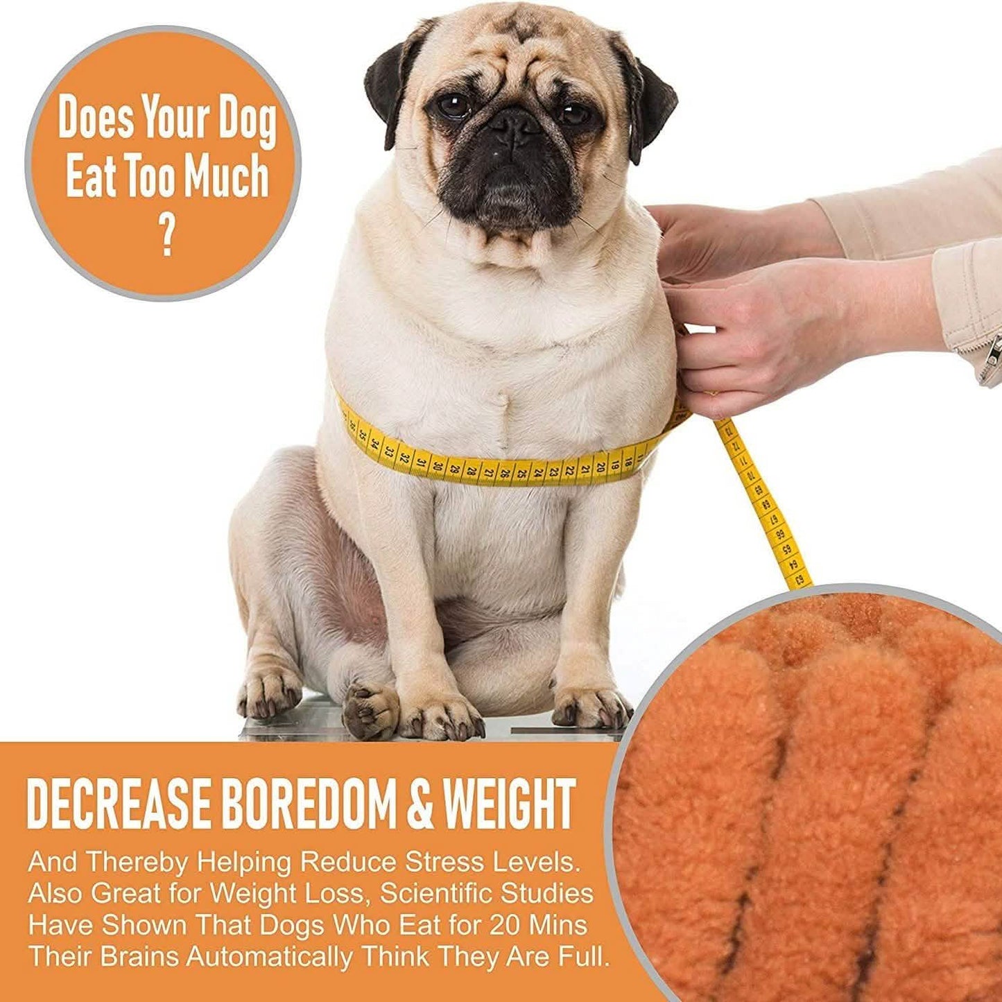 Our K9 Training Made Easy Snuffle Mat DailySale