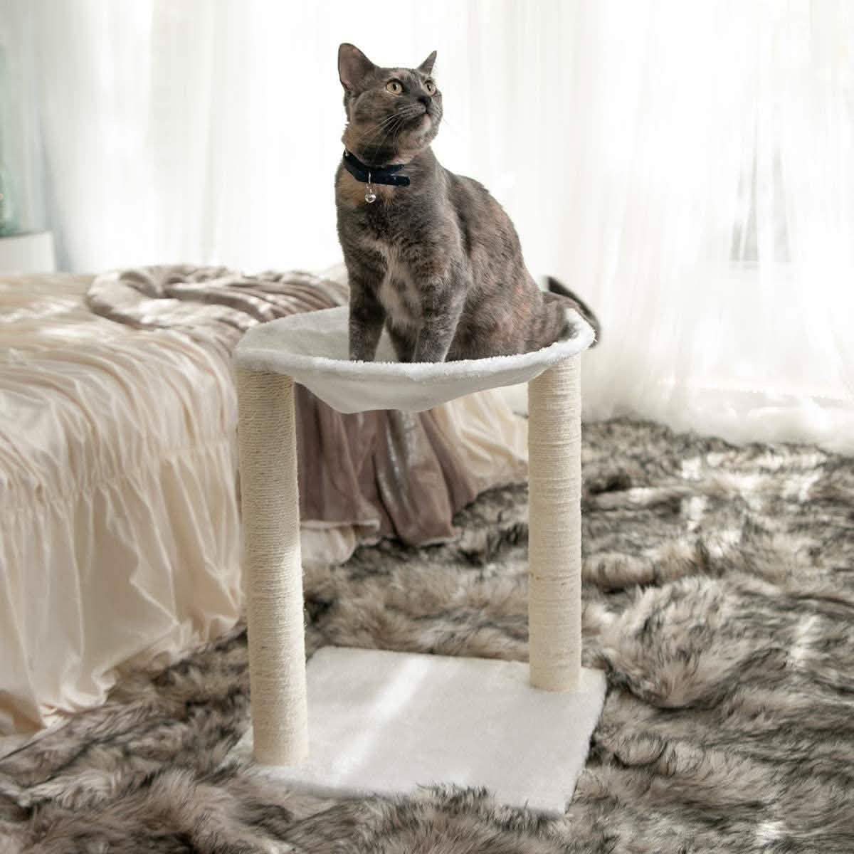 Paws & Pals 3-in-1 Cat Scratching Post with Hammock and Toy DailySale