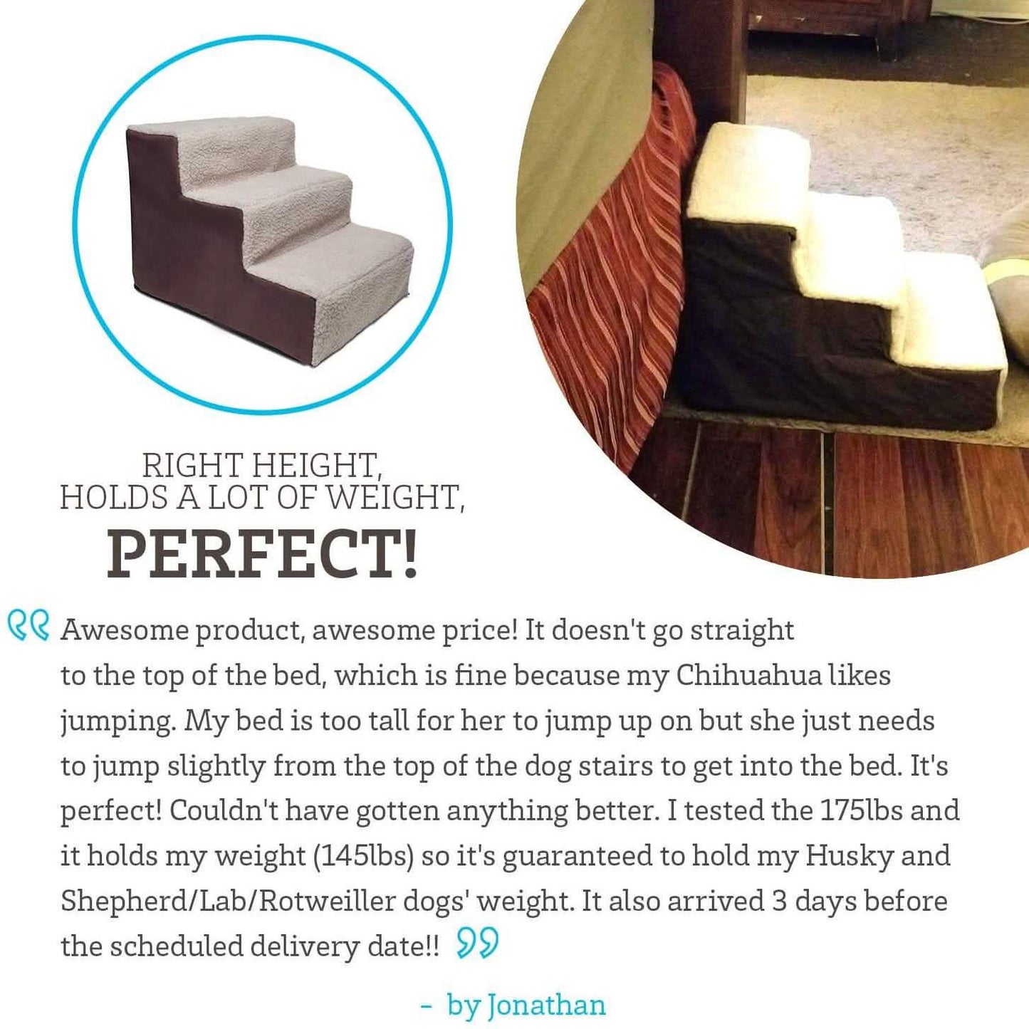 Paws & Pals Padded Pet Stairs DailySale