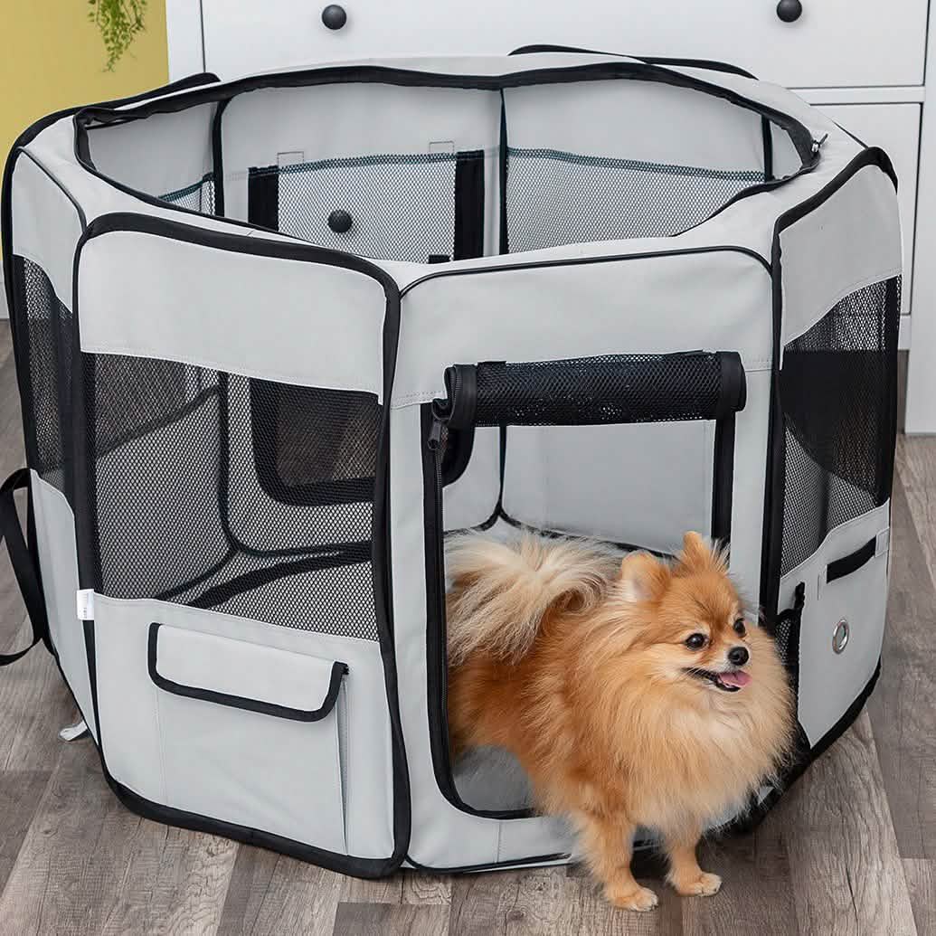 Paws & Pals Portable Pet Playpen with Blanket DailySale