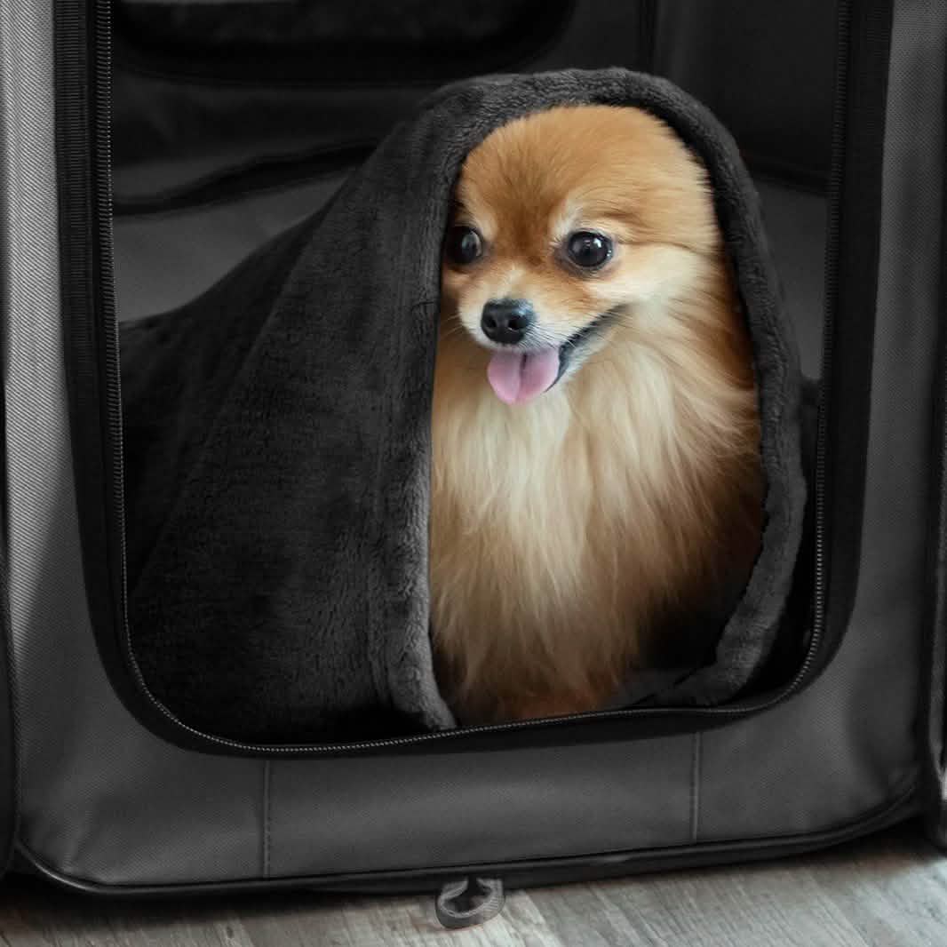 Paws & Pals Portable Pet Playpen with Blanket DailySale