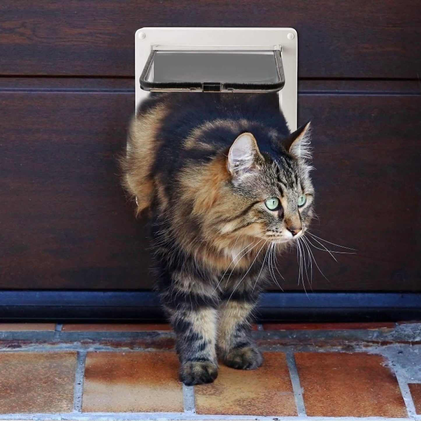 Pet 4 Way Locking Quiet Flap Door DailySale