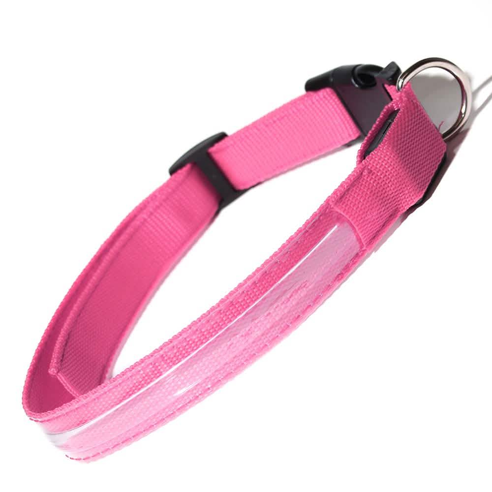 Pet LED Collar DailySale
