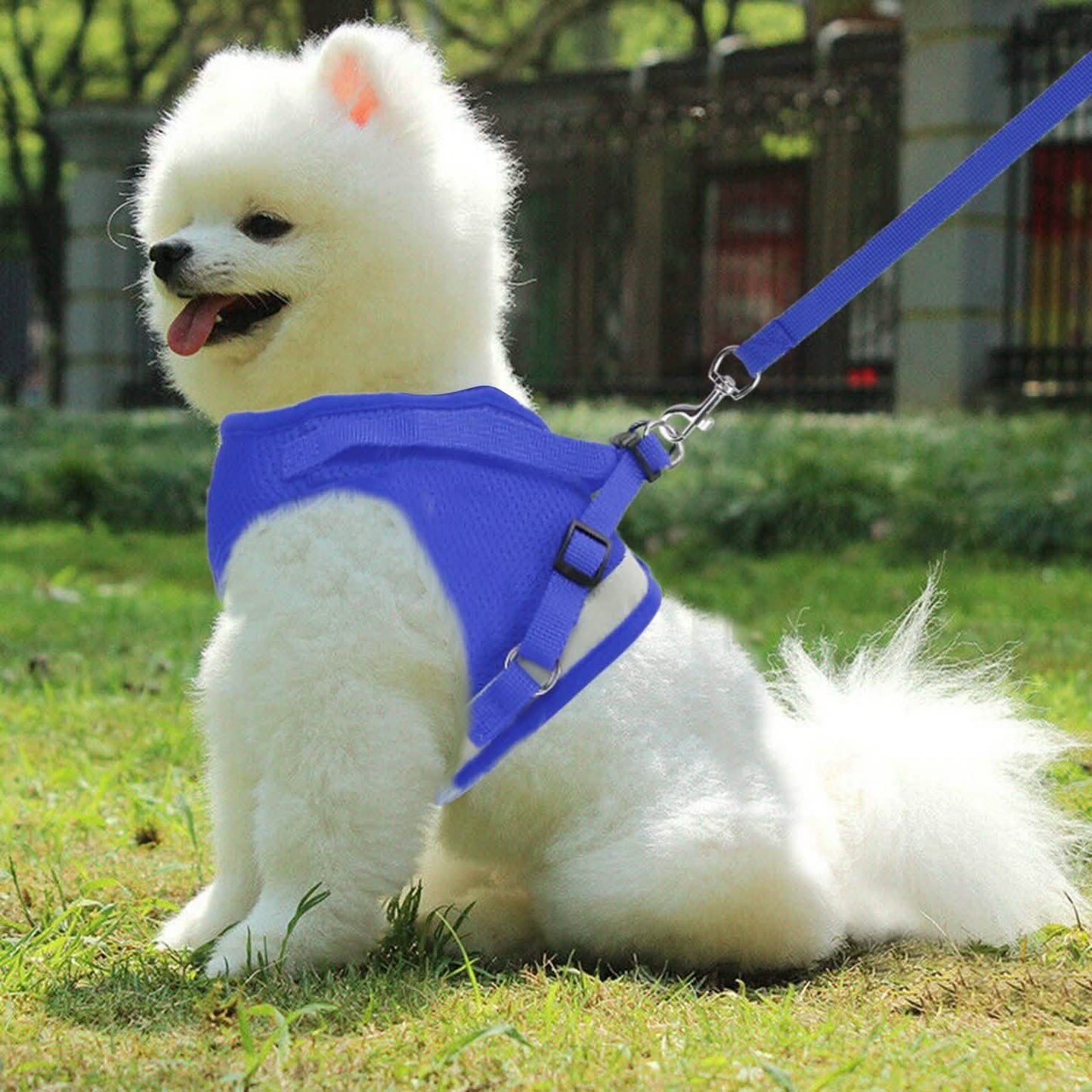 Pet Mesh Harness Dog Leash Puppy Vest DailySale