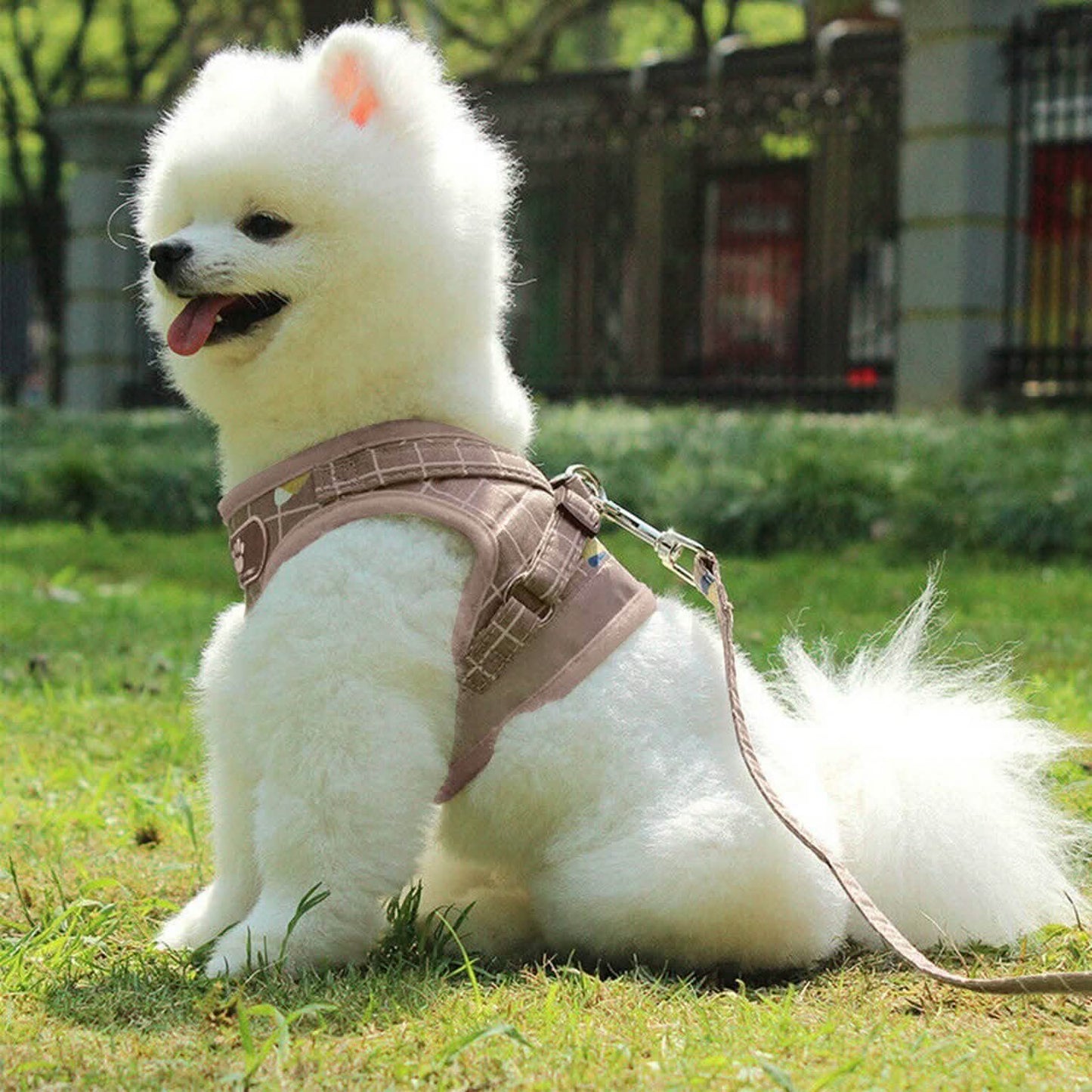 Pet Mesh Harness Dog Leash Puppy Vest DailySale
