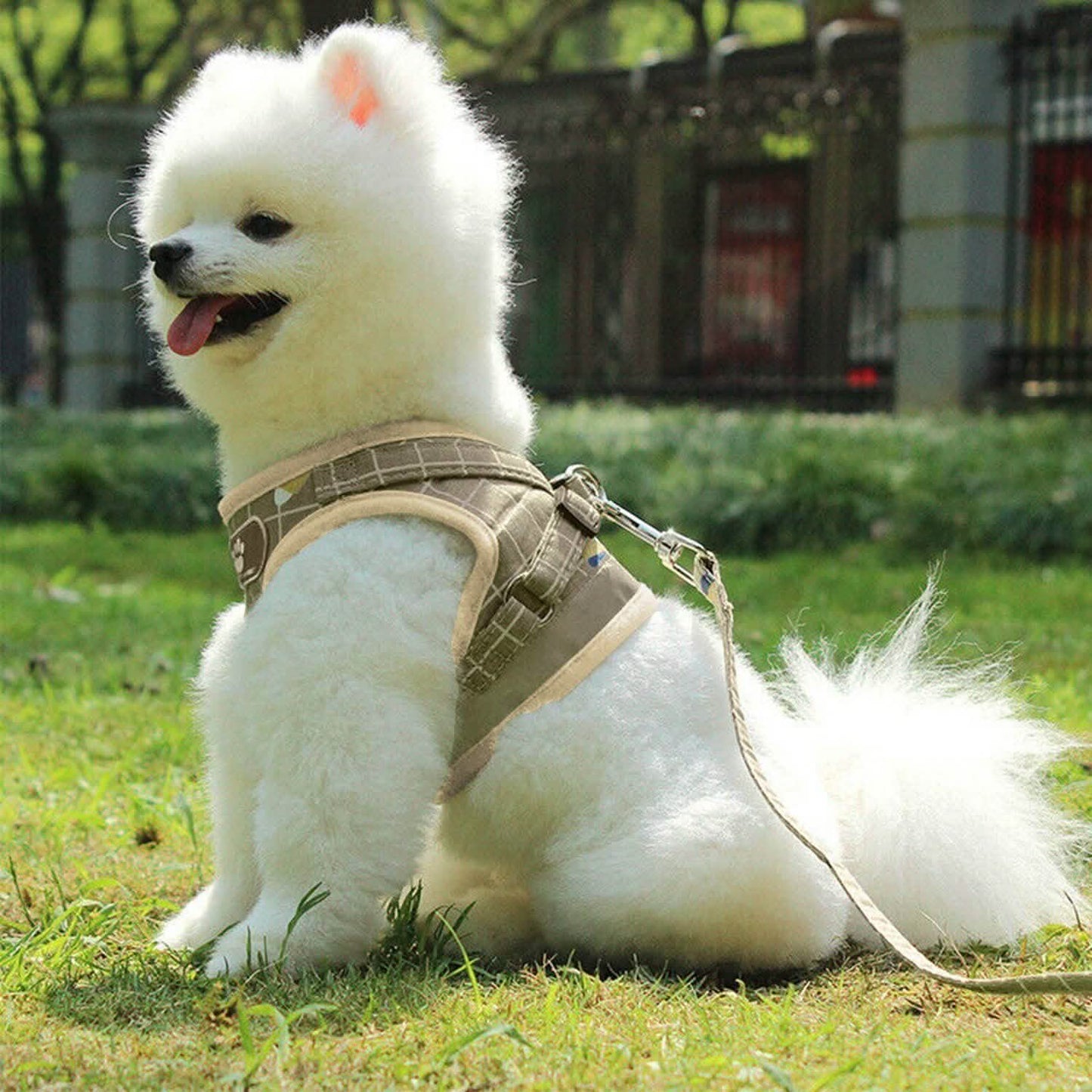 Pet Mesh Harness Dog Leash Puppy Vest DailySale