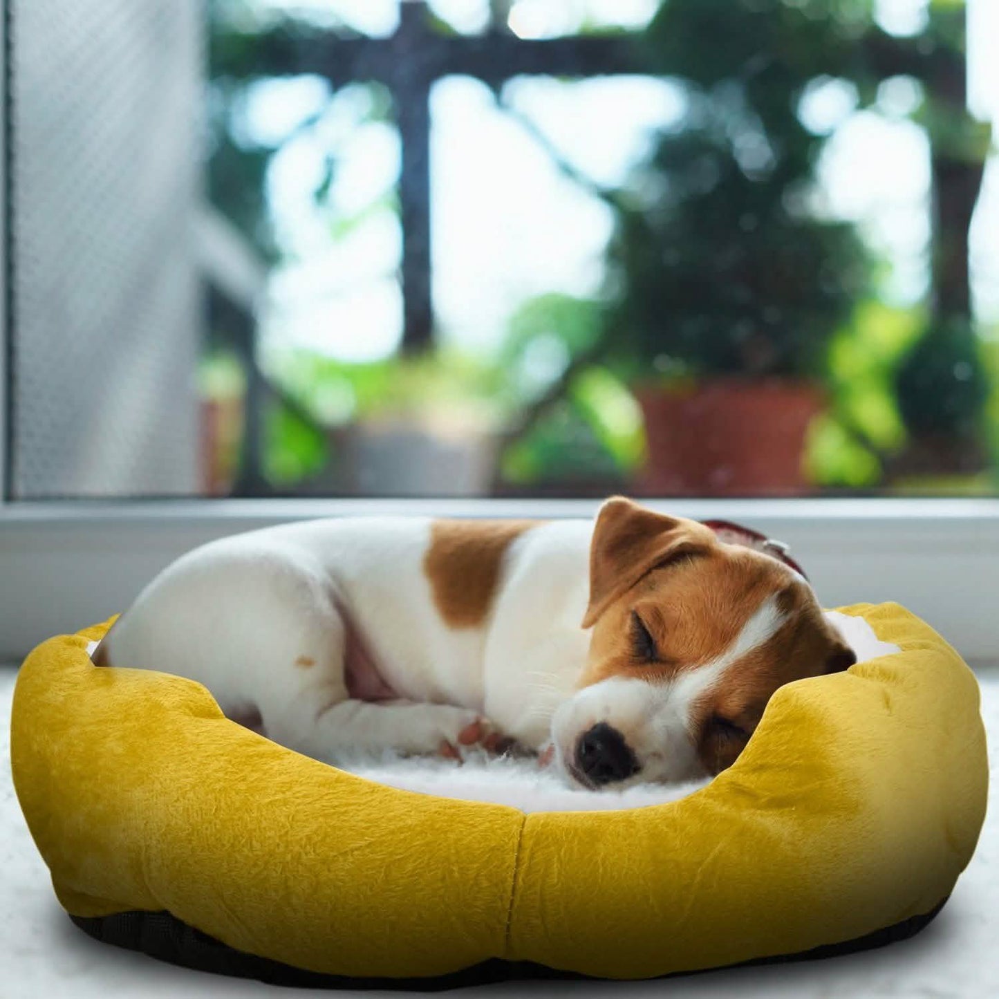 Pet Puppy Cat Soft Warm Fleece Bed DailySale