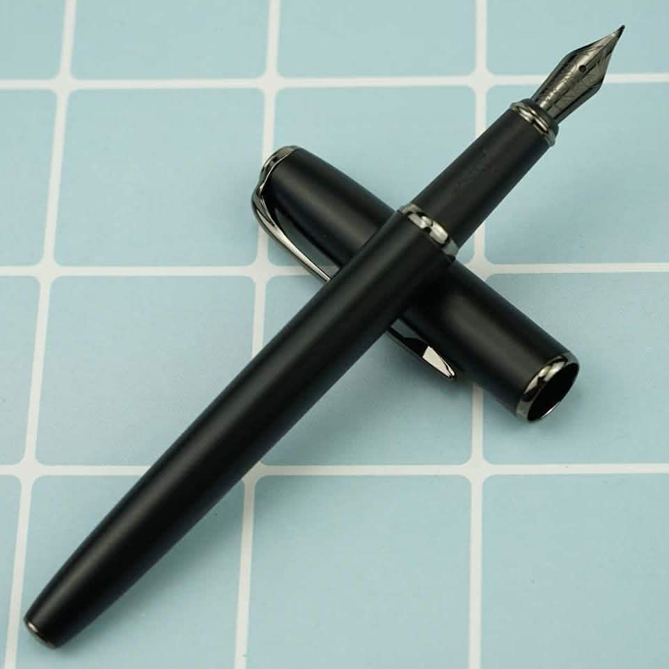 Picasso 916 Ring Fountain Pen DailySale
