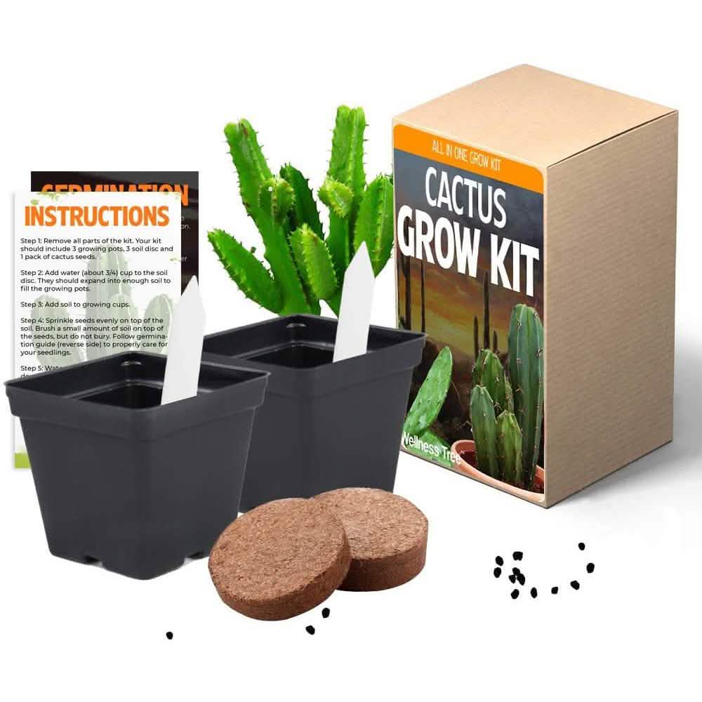 Plant Your Own Garden Grow Kit DailySale