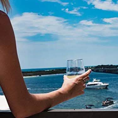 Plastic Stemless Wine Glasses by En Soiree DailySale