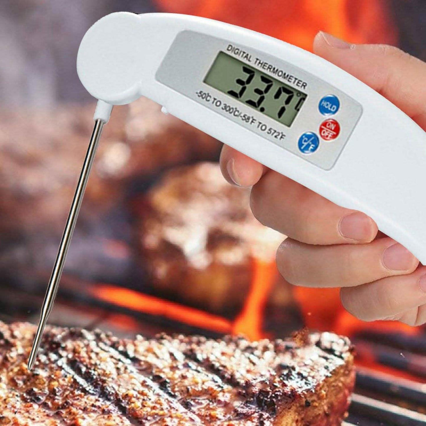 ProThermo Instant-Read Digital Meat Thermometer DailySale