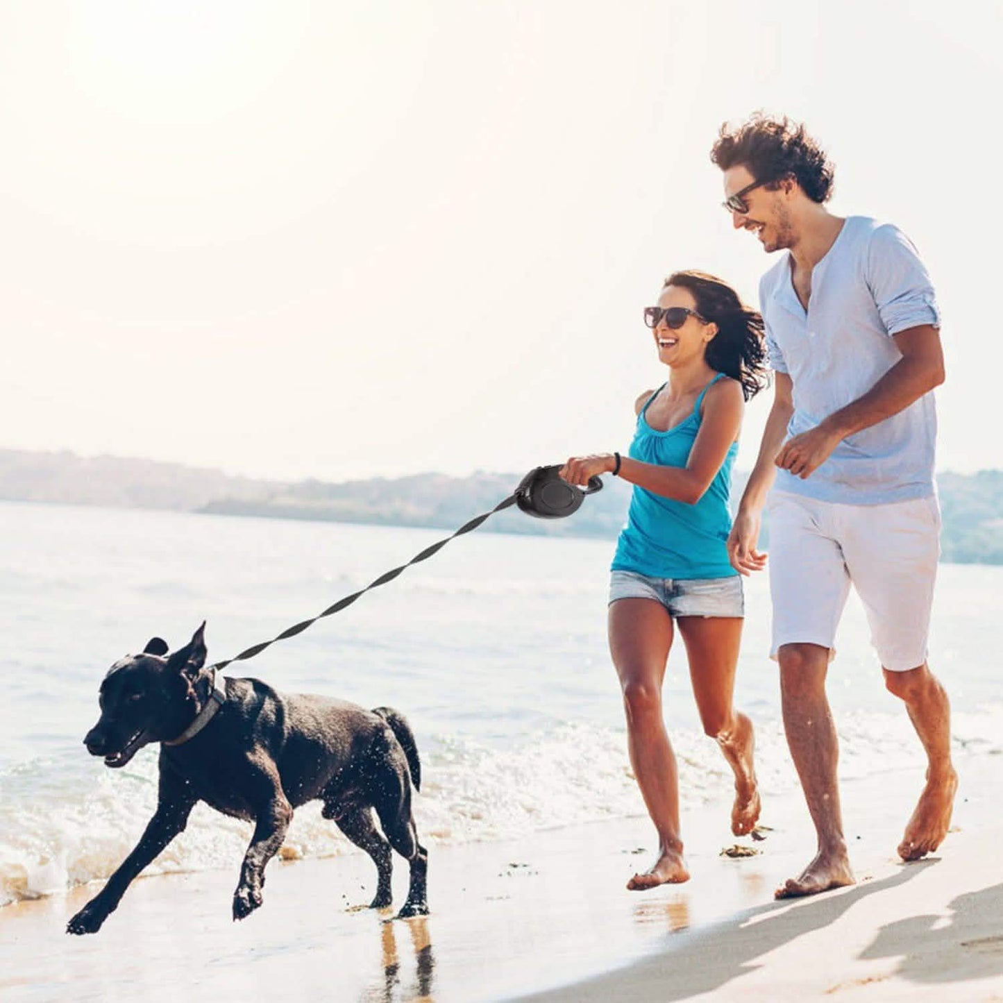 Retractable Dog Leash 16ft Extendable Range Heavy Duty Dog Walking Leash DailySale