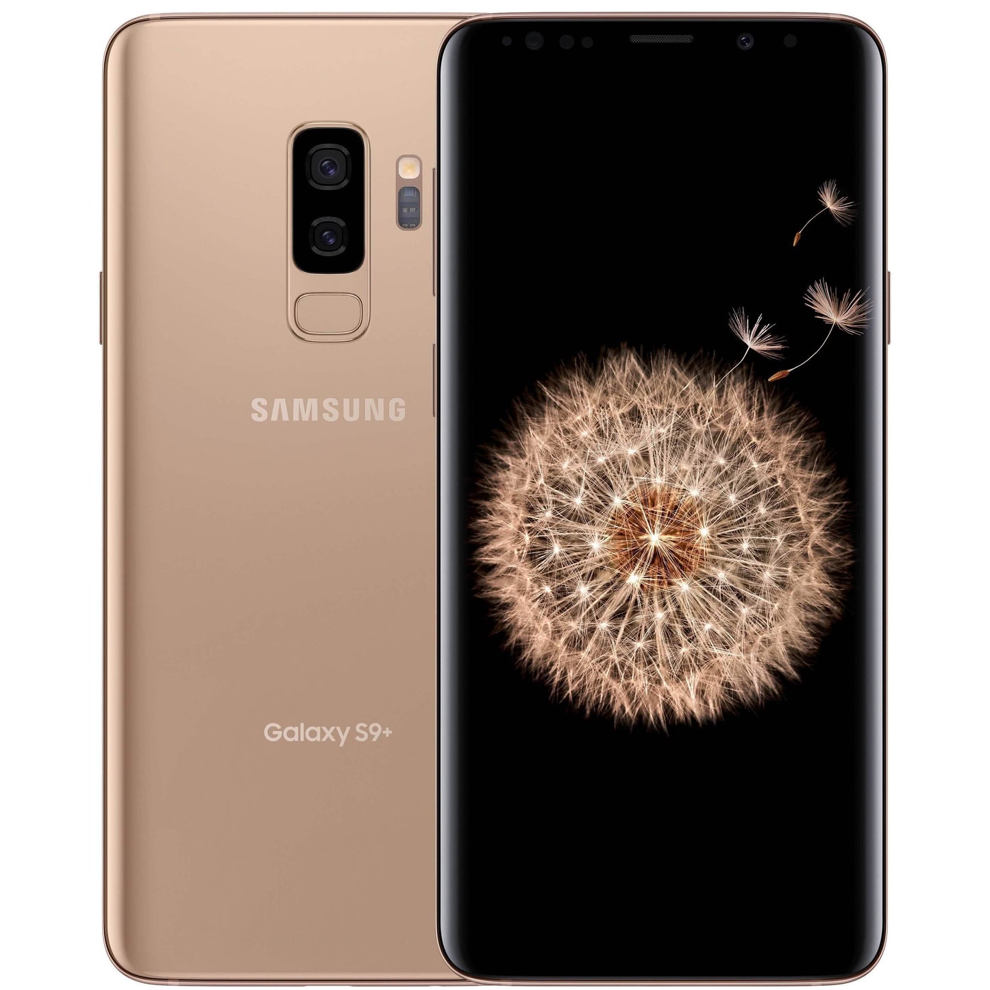 Samsung Galaxy S9+ Plus Fully Unlocked (Refurbished) DailySale
