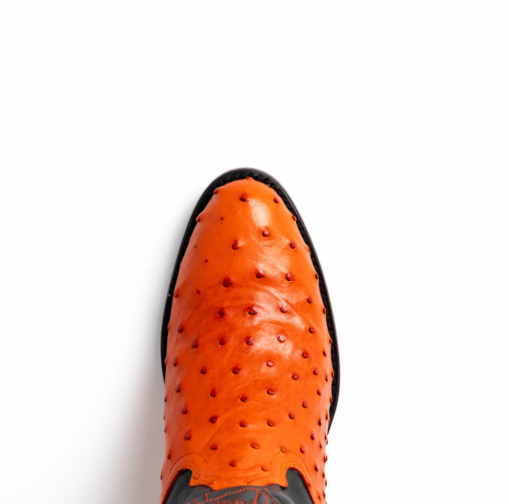 Savannah Orange Marco Di Milano