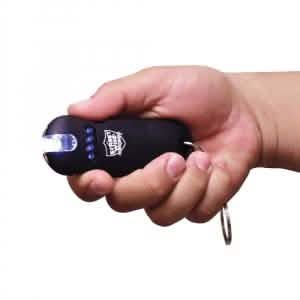 Smart 24,000,000 Keychain Stun Gun DailySale