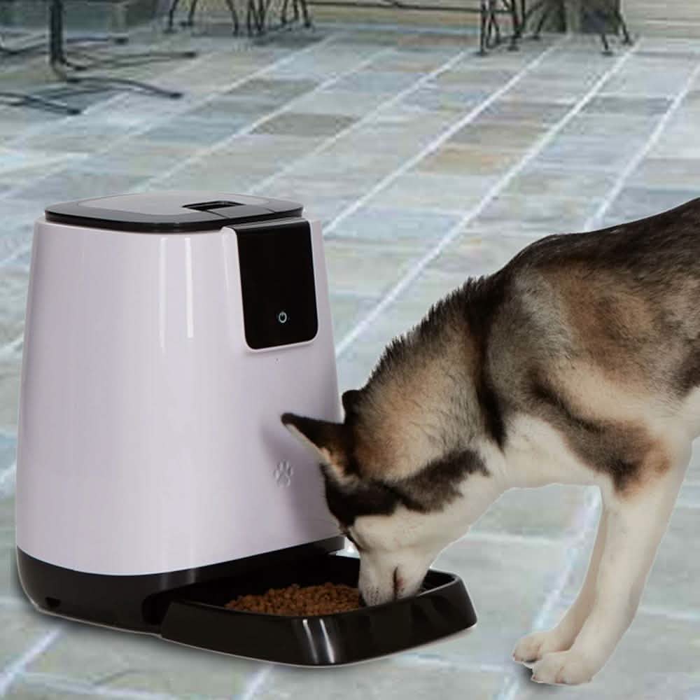 Smart Programmable Automatic Feeder for Pets DailySale
