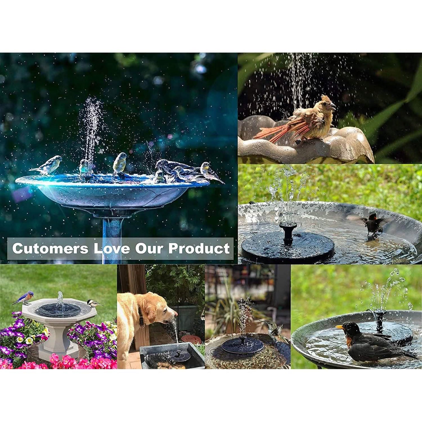 Solatec Solar Fountain DailySale