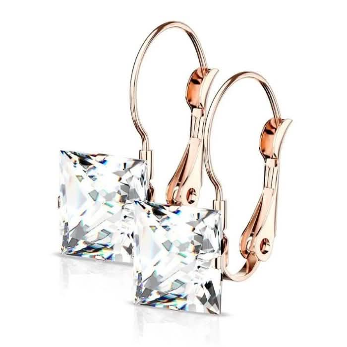 Stainless Steel Square CZ Gem Earrings DailySale