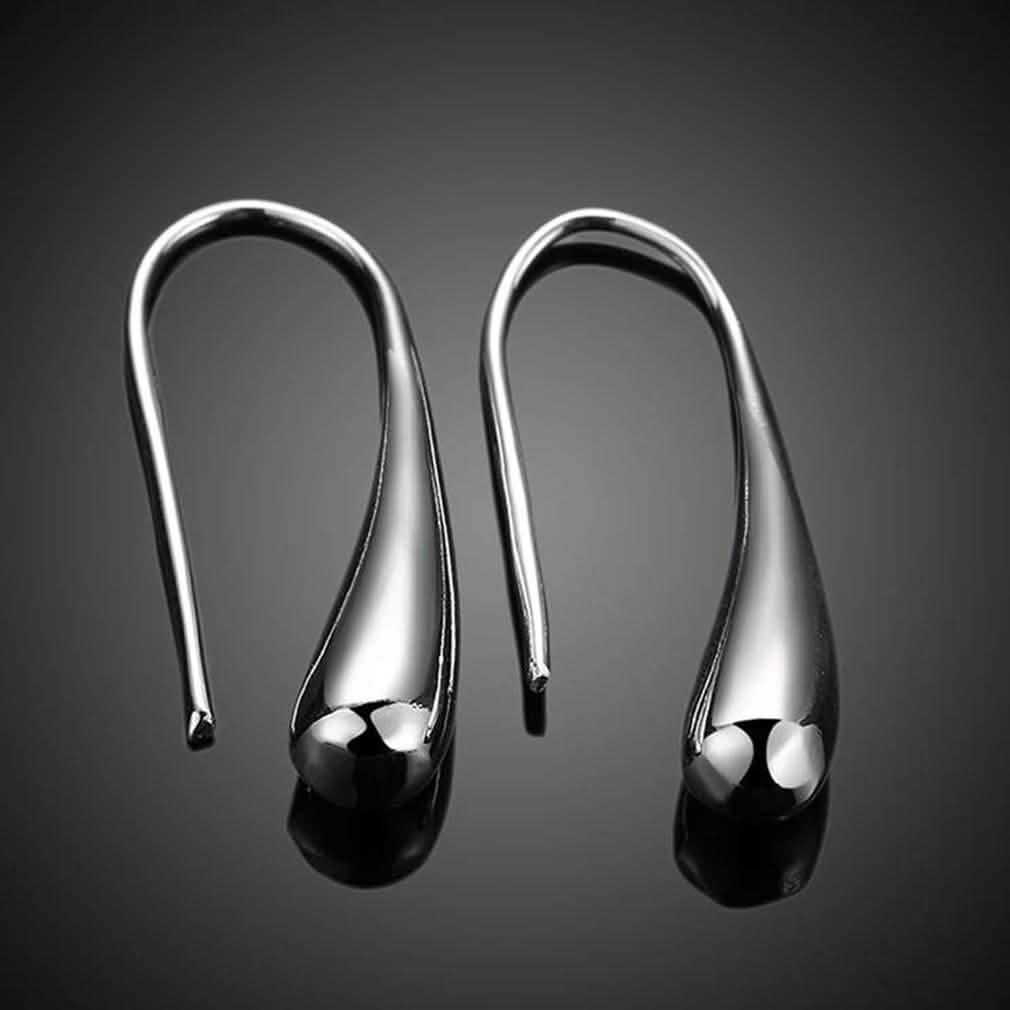 Sterling Silver Plated Waterdrop Hook Earrings DailySale