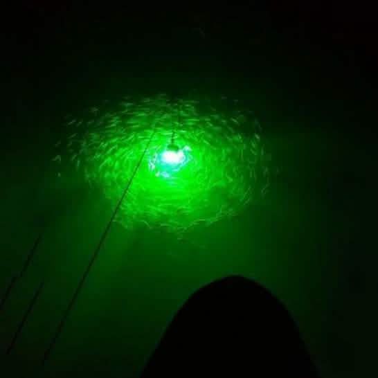 Sunbeam LED Fishing Light DailySale